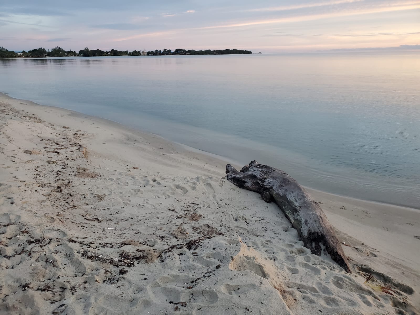 IMANIS INN - BEACH HOTEL PLACENCIA